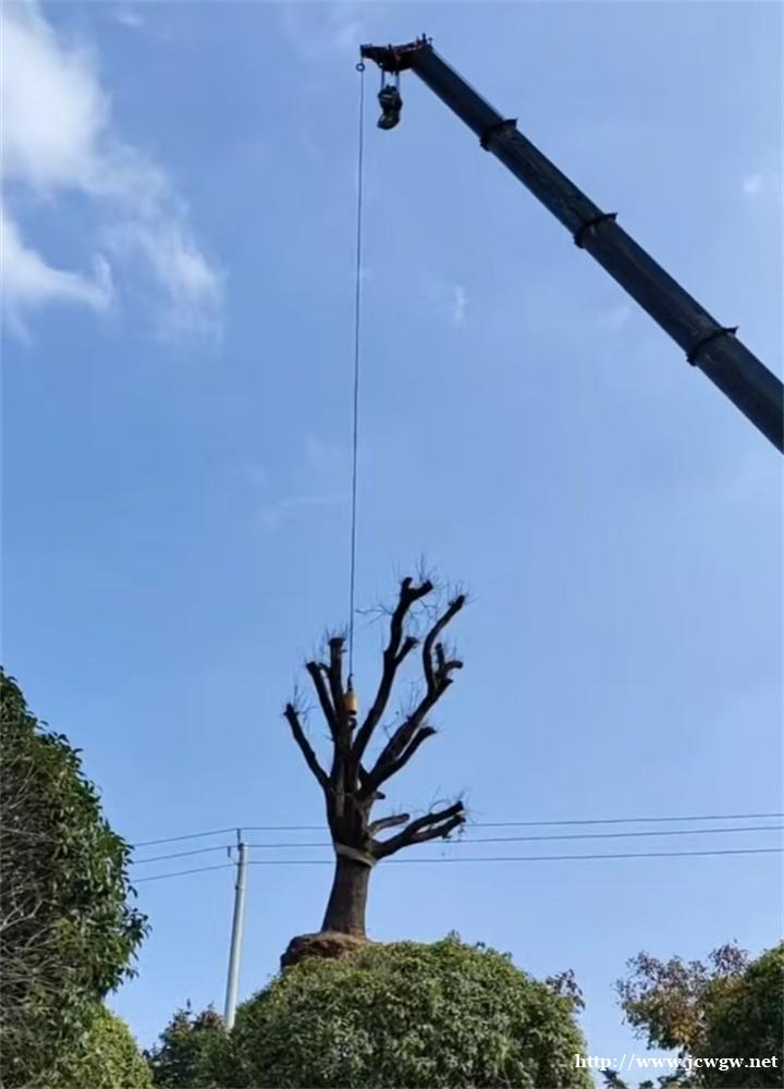 /attachment/editor/20250524/1748049262jexlx.jpg /attachment/editor/20250524/1748049262jexlx.jpg